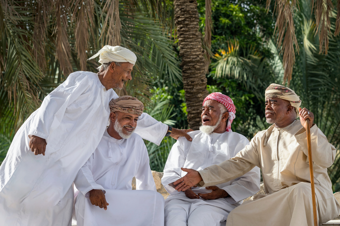 هبطة العيد مقل وادي بني خالد (1) هبطة العيد مقل وادي بني خالد (1)