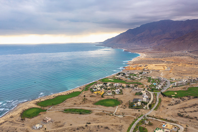 Muscat cover Muscat cover